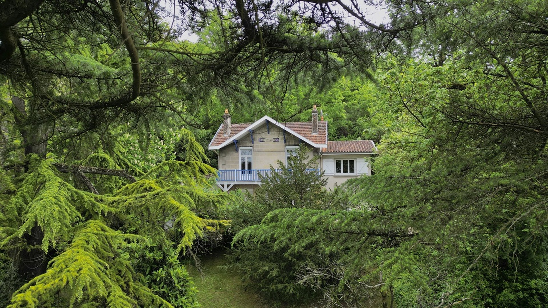Propriété sous les arbres