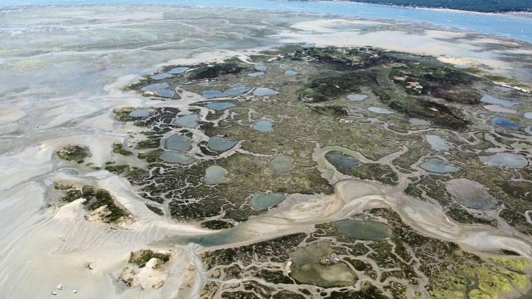 Crassats et prés salés du Bassin d'Arcachon découverts à marée basse, vue aérienne