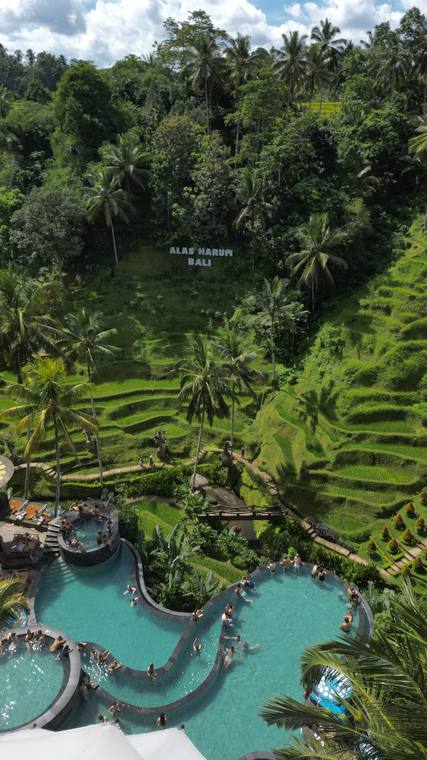 Rizières en terrasses et piscines au cœur de la jungle, vue aérienne par drone